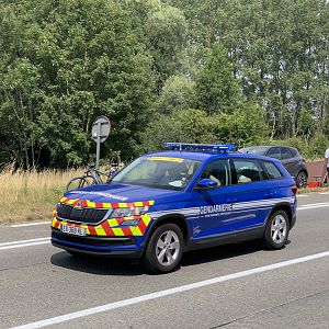 Kodiaq TDF 2019