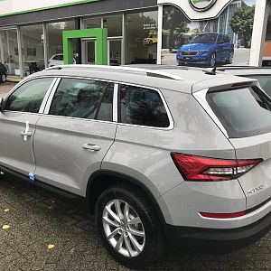 Kodiaq van Henrik
