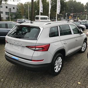 Kodiaq van Henrik