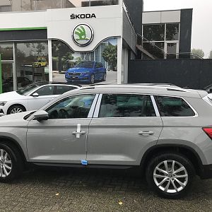 Kodiaq van Henrik