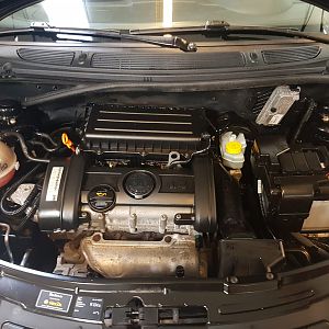 Motor