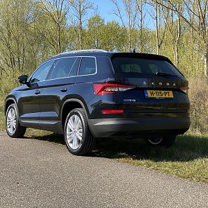 Kodiaq back