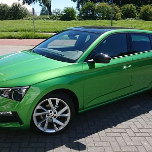 Skoda Scala - Rallye Green