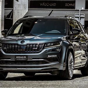 Dikke Kodiaq