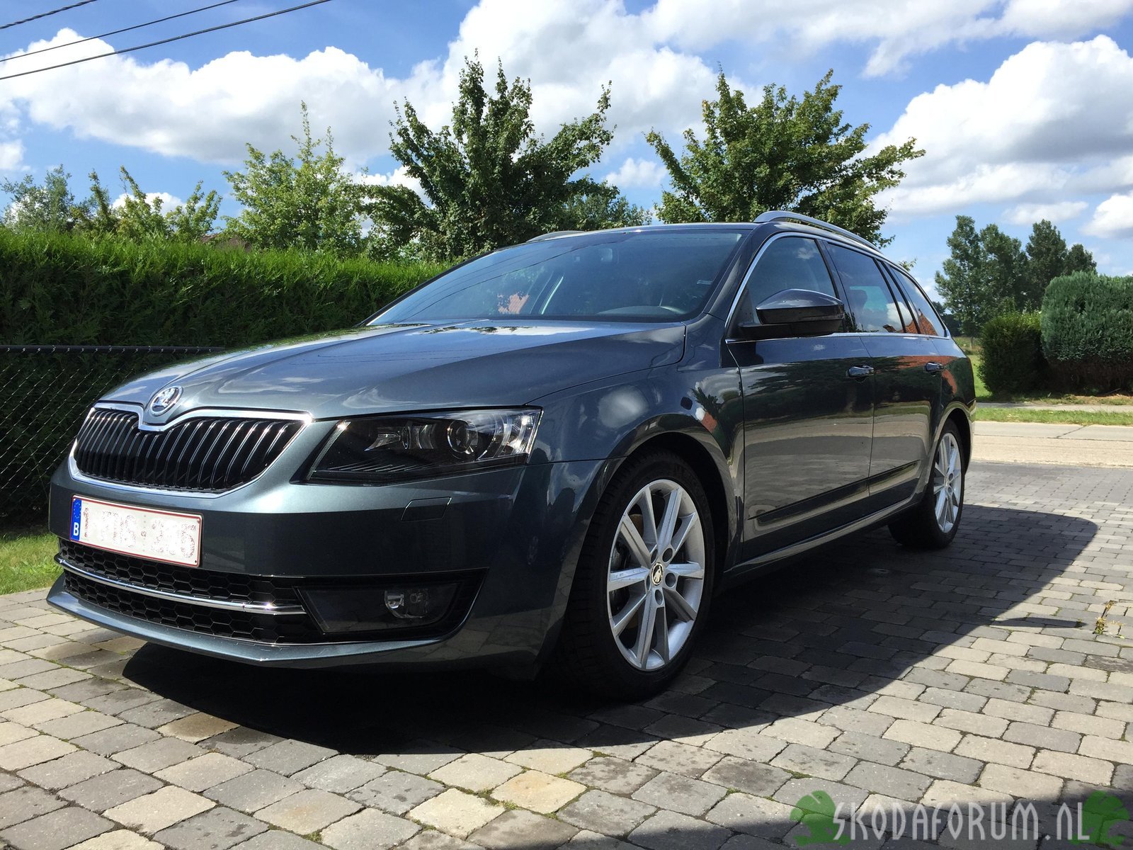 Fris gewassen Octavia
