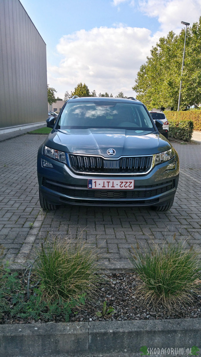 Kodiaq-F