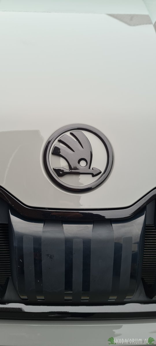 Kodiaq logo Zwart/Steel grey