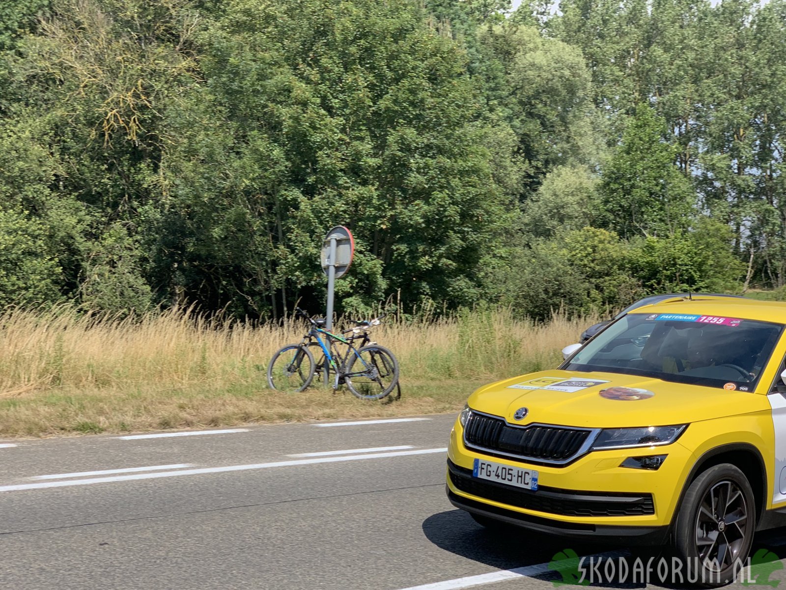 Kodiaq TDF 2019