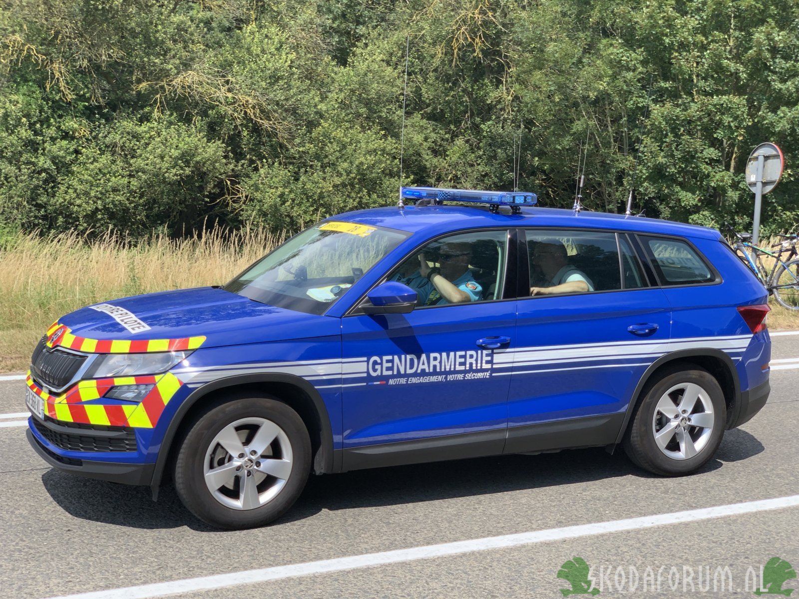 Kodiaq TDF 2019