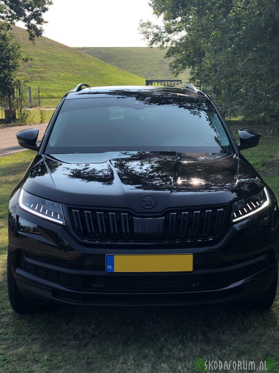 Kodiaq voor