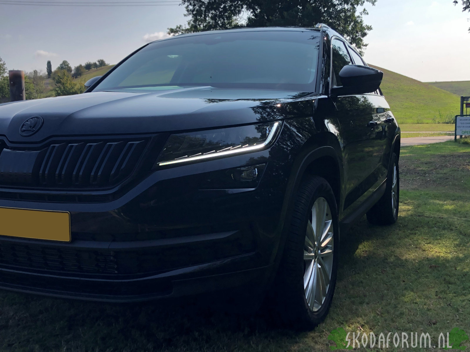 Kodiaq zijkant links