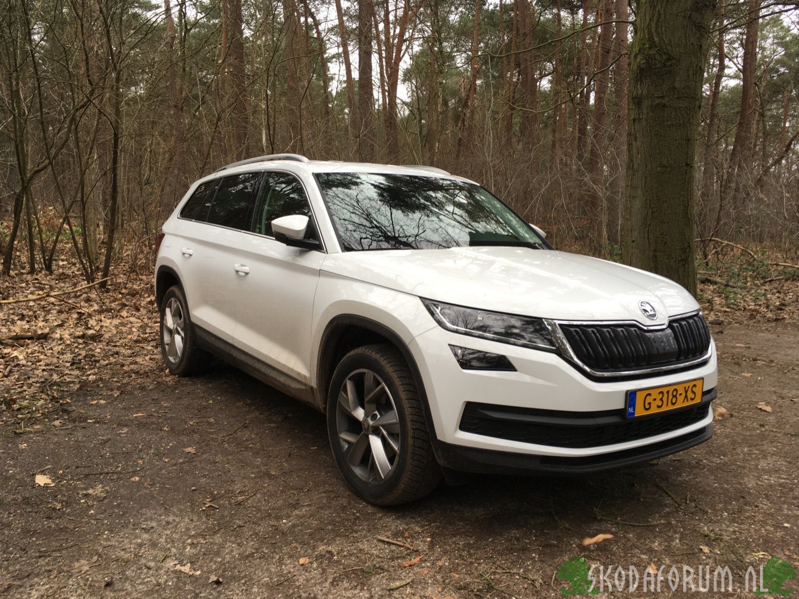 Kodiaq