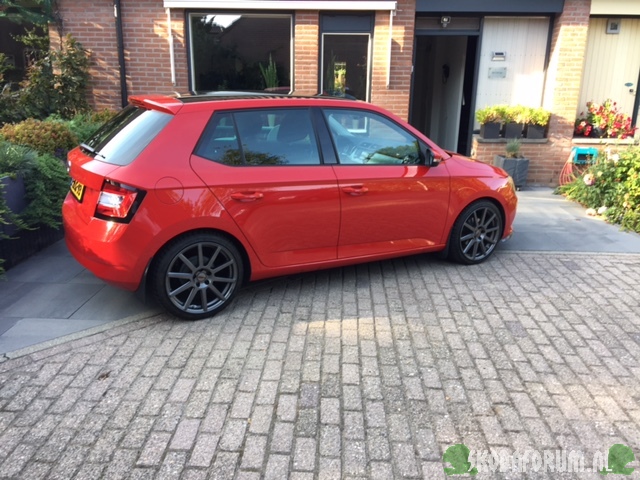 mijn nieuwe aanwinst