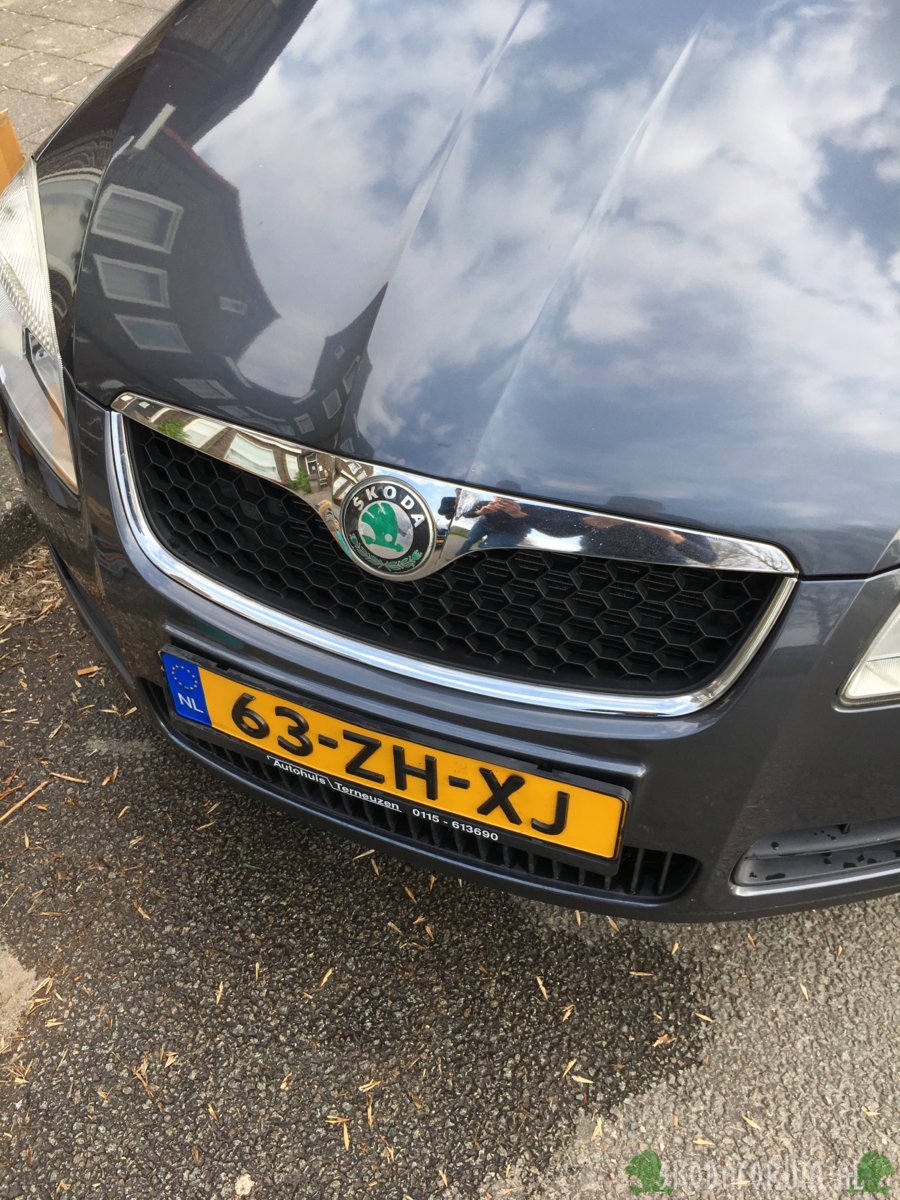 Nieuwe grille