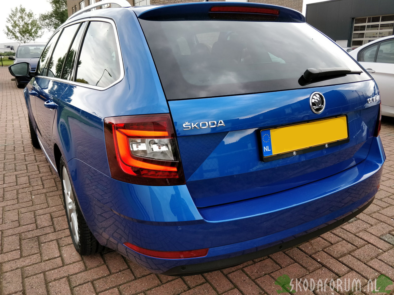 Octavia Combi 1.0 TSI Ambition Business DSG (2018) kleur Race Blue