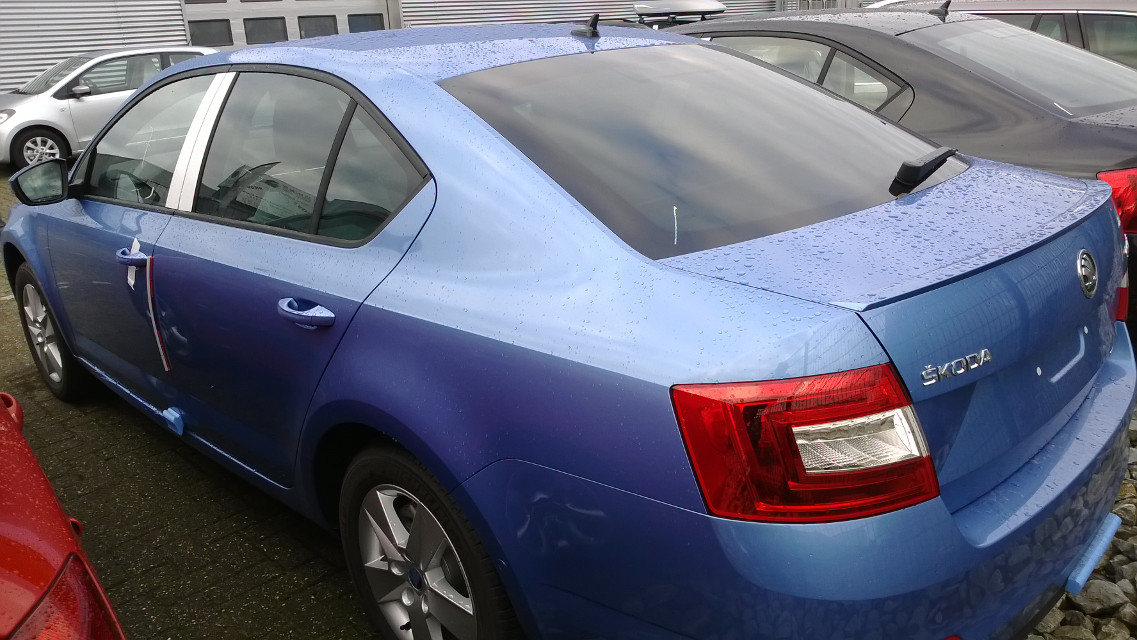 Octavia Greenline Denim blue