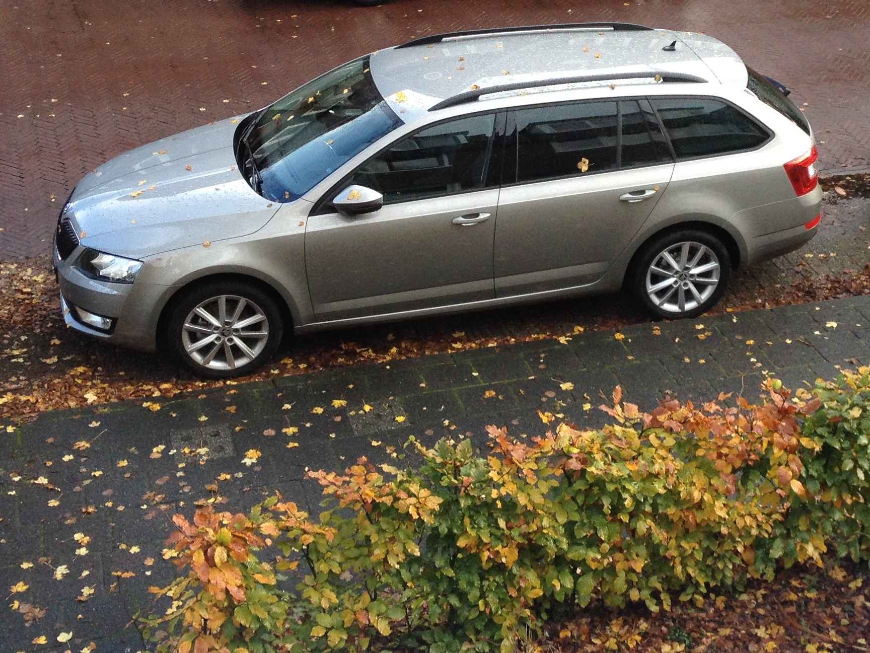 Octavia III Combi ABL Cappuccino Beige