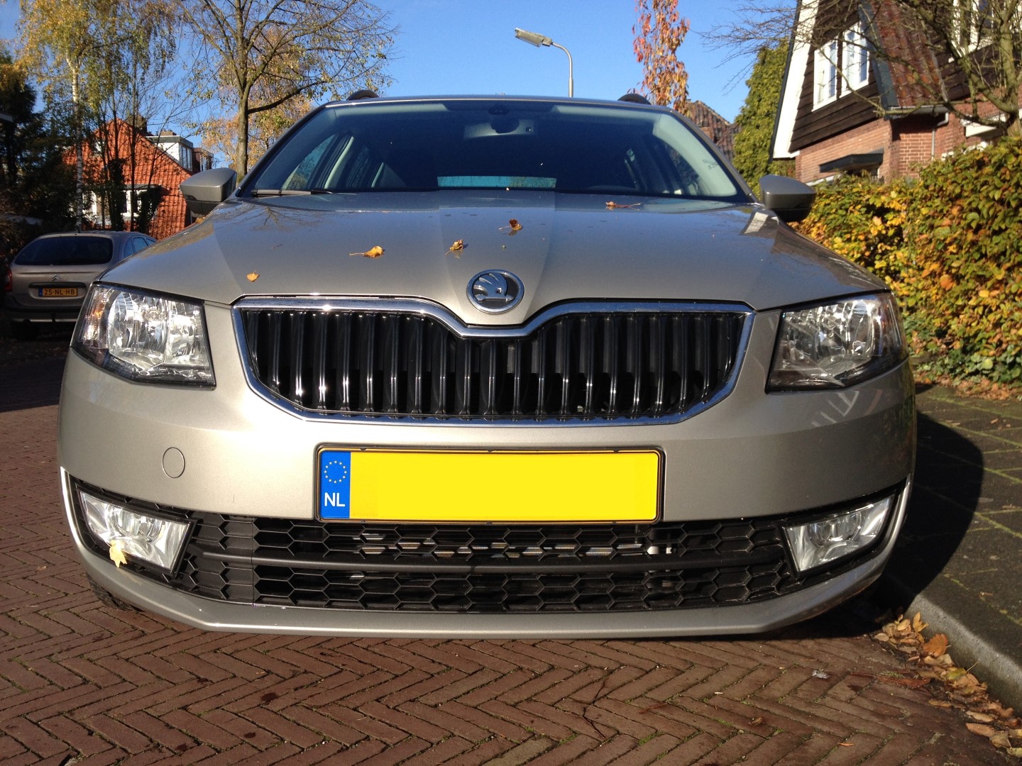 Octavia III Combi ABL Cappuccino Beige