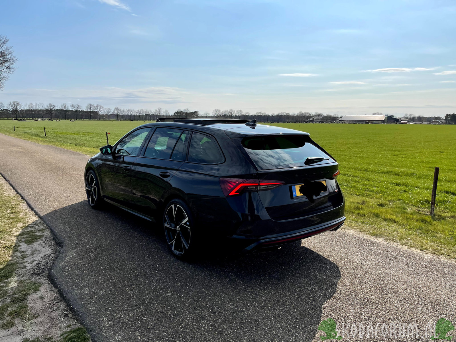 Octavia RS, 2021, 2.0 > 245PK versie