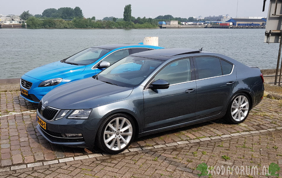 Octavia Style Business DSG - Eibach veren