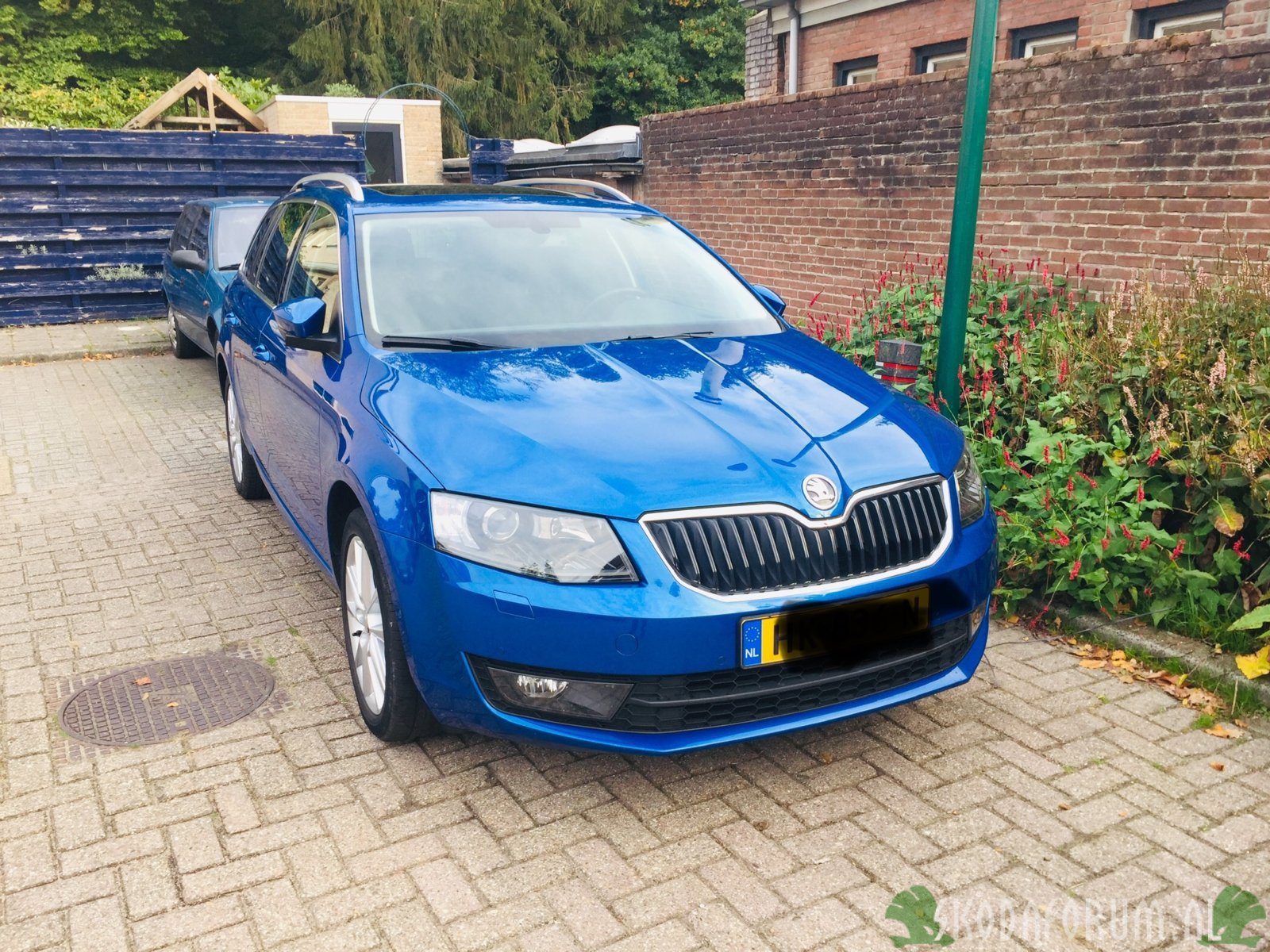 Poets/detail beurt voor winterseizoen