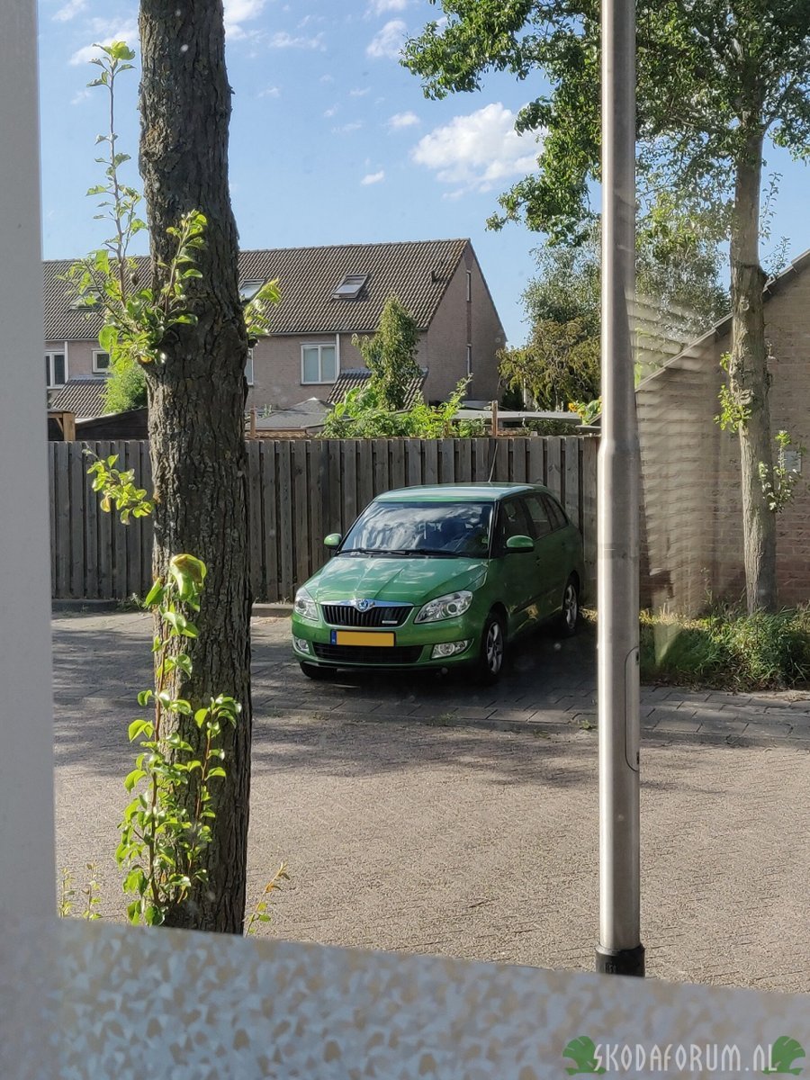 Skoda Fabia Combi Greenline '11