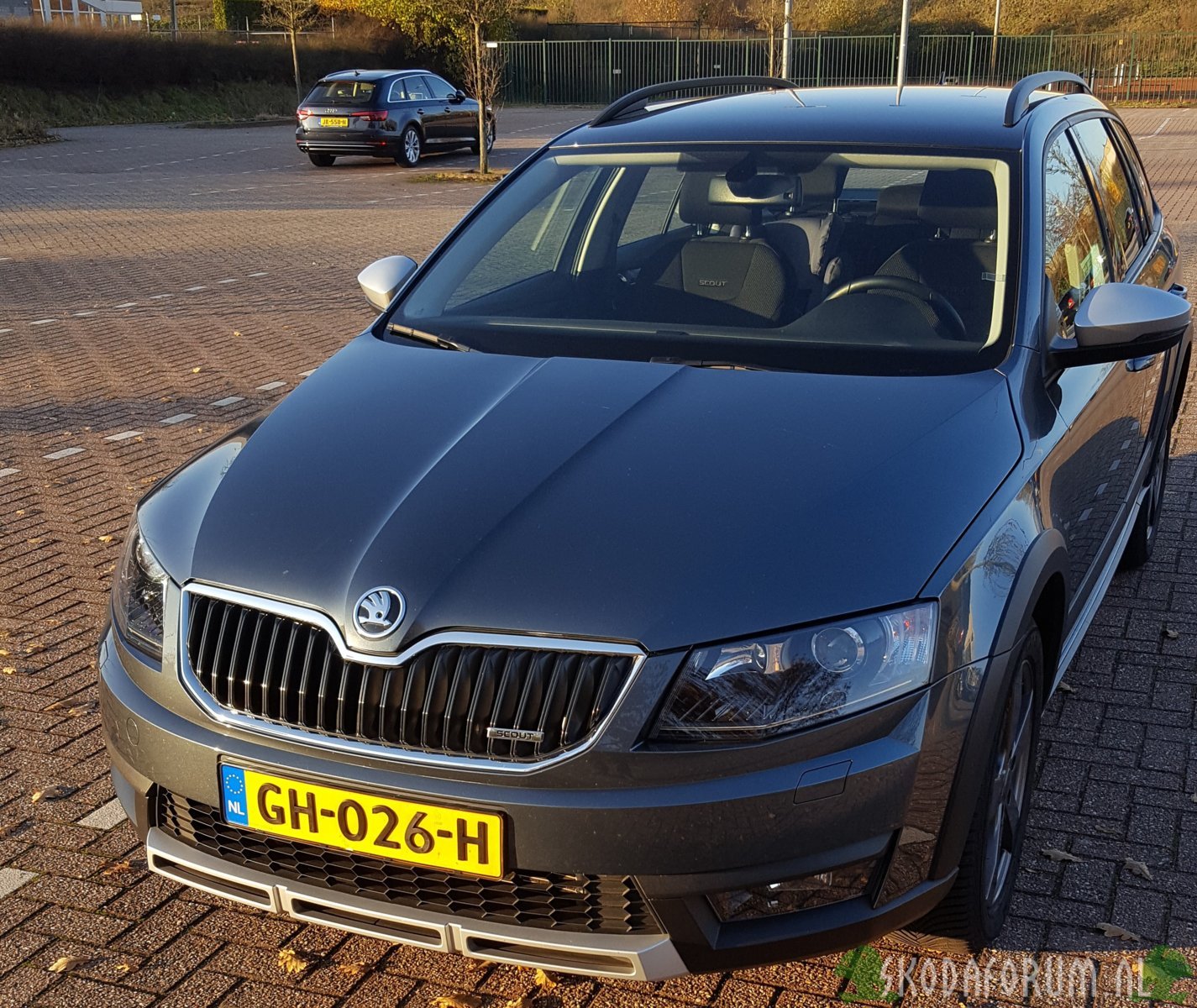 Skoda Octavia Scout 4X4 DSG 2.0 TDi