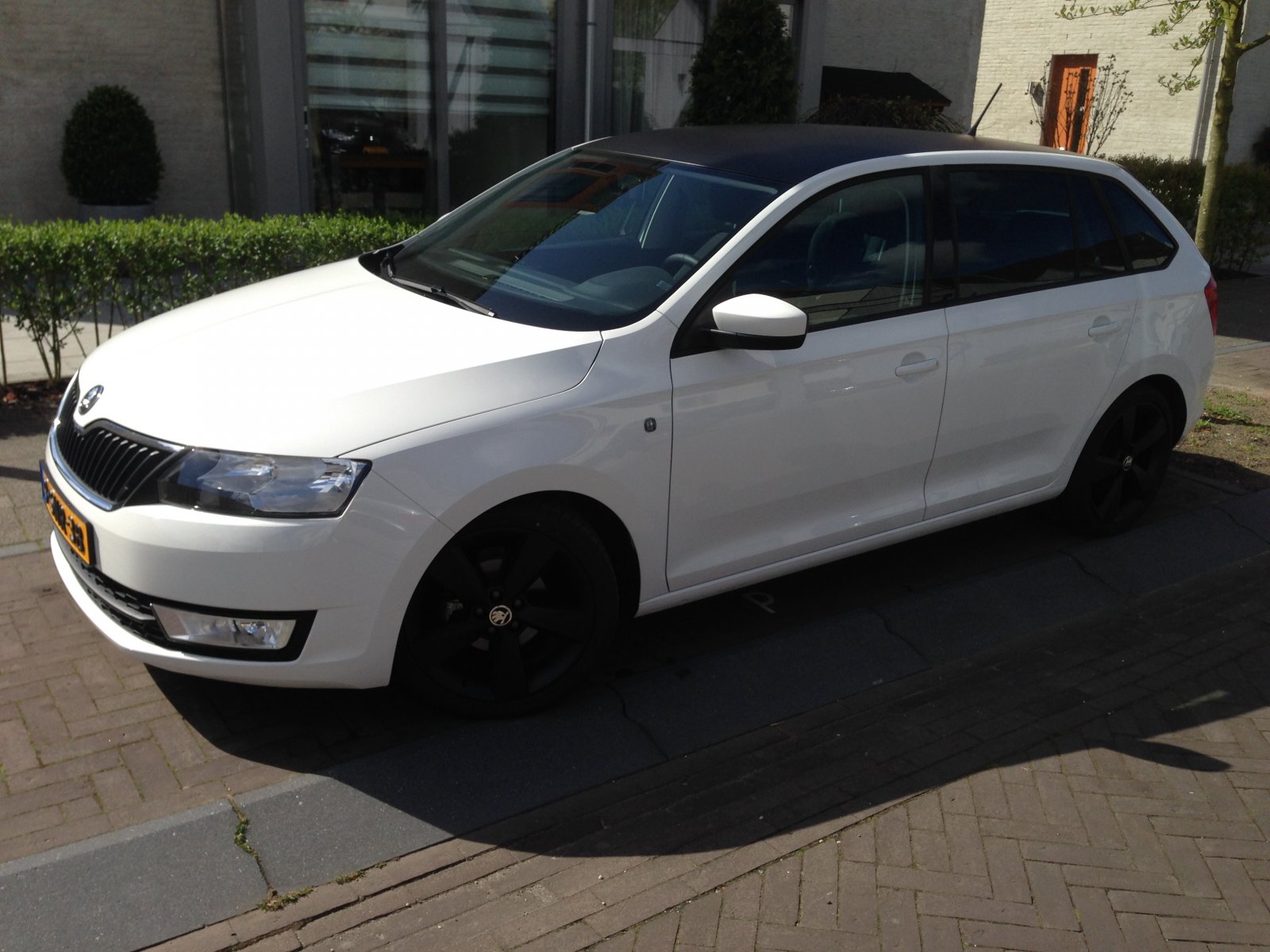 White skoda rapid
