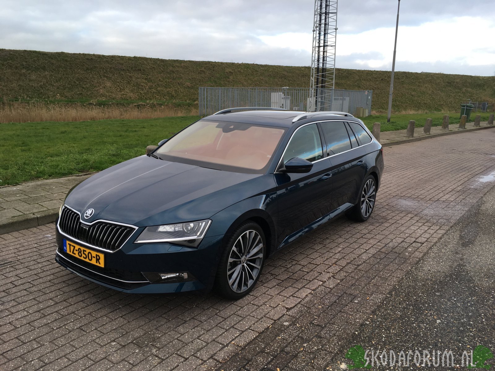 Skoda blue lava