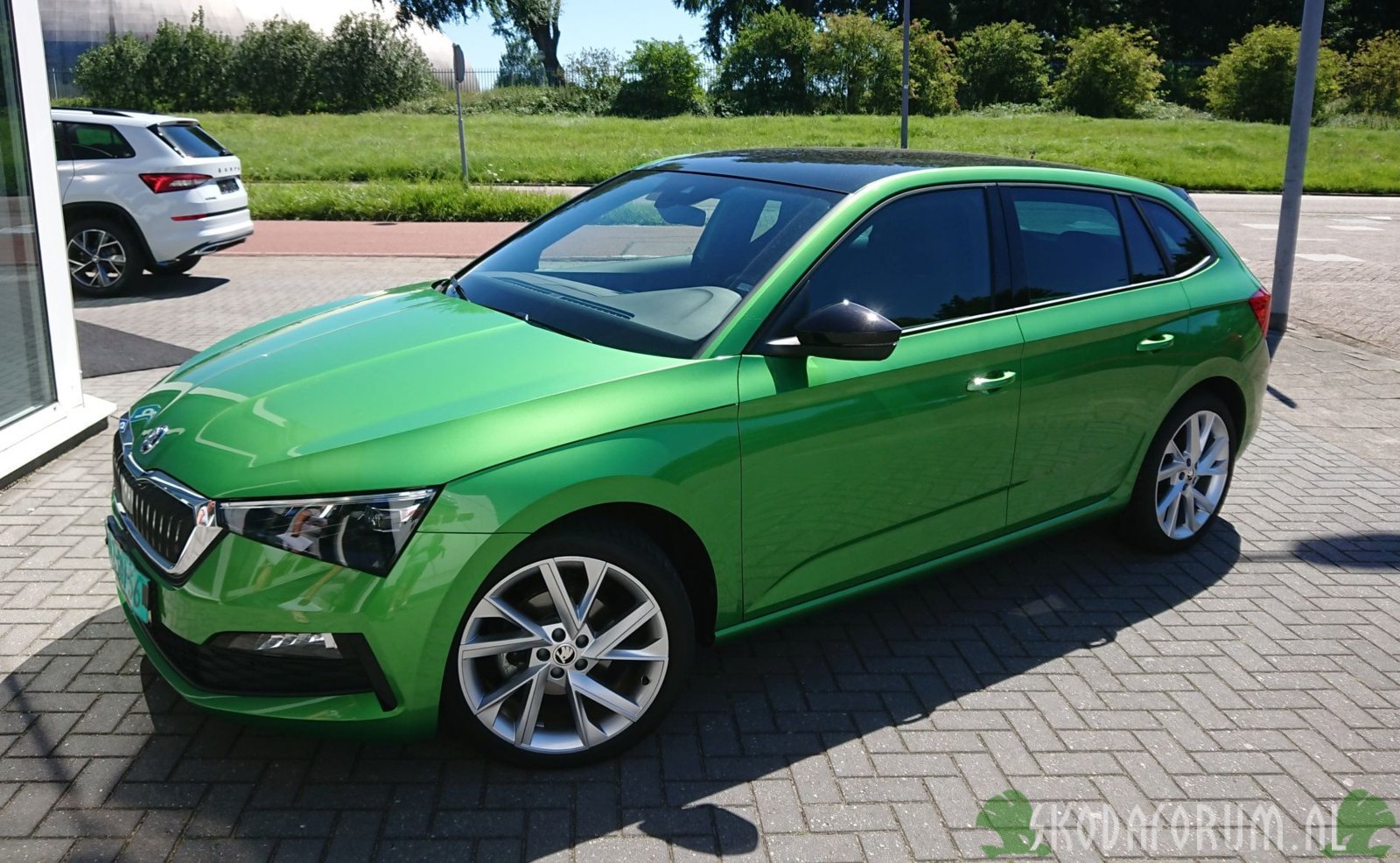 Skoda Scala - Rallye Green