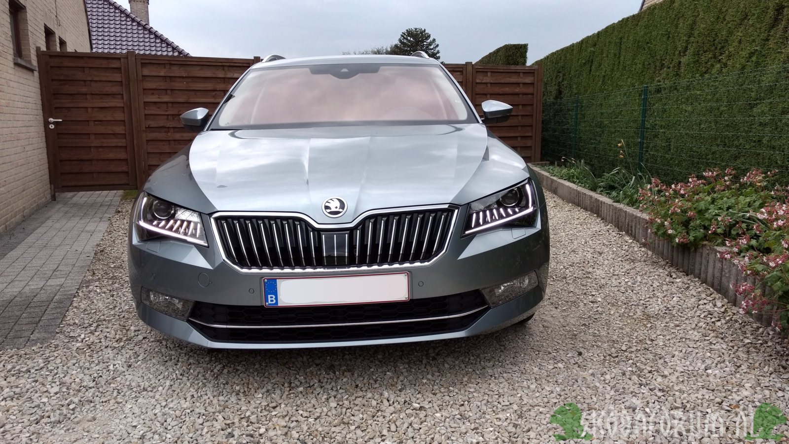 Superb III Combi, Greenline, Business Grey, Stratos velgen