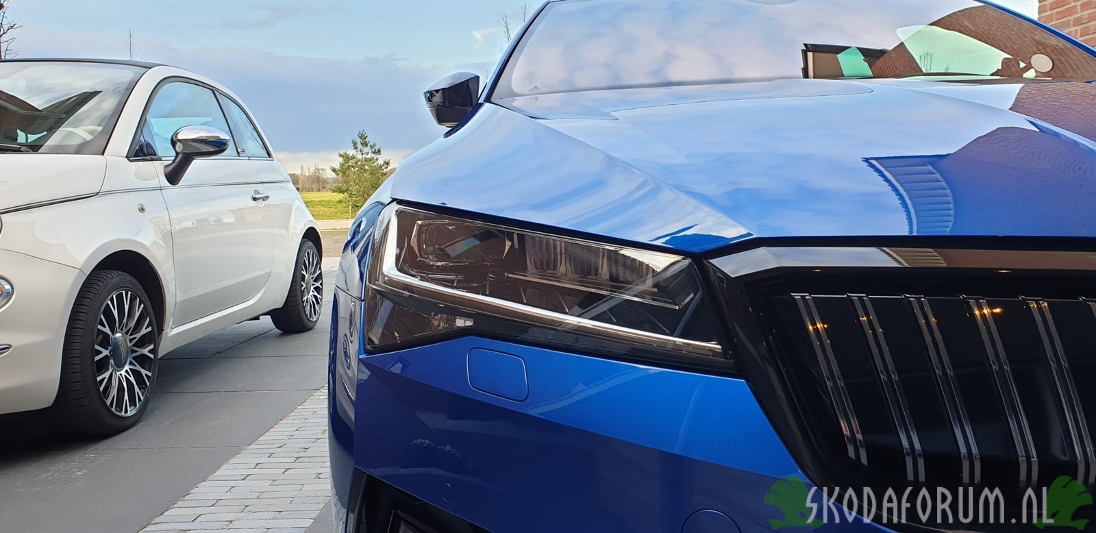 Superb IV - racing blue 4