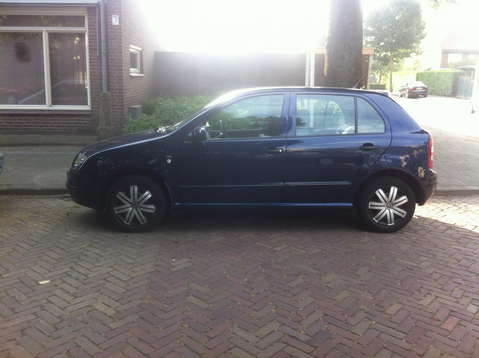 Wieldoppen geplastidipped