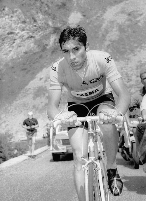 Eddy_Merckx.jpg