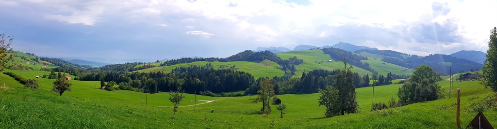20180918_142610.jpg