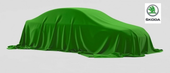 skoda-201957136-1557168761_1.jpg