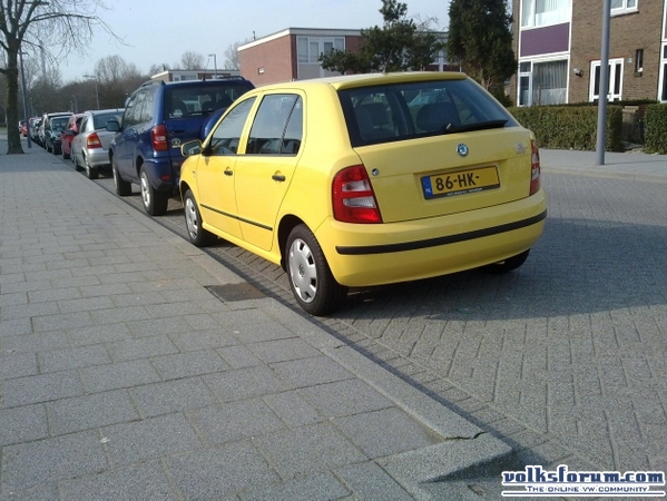 12032011003ZK.JPG