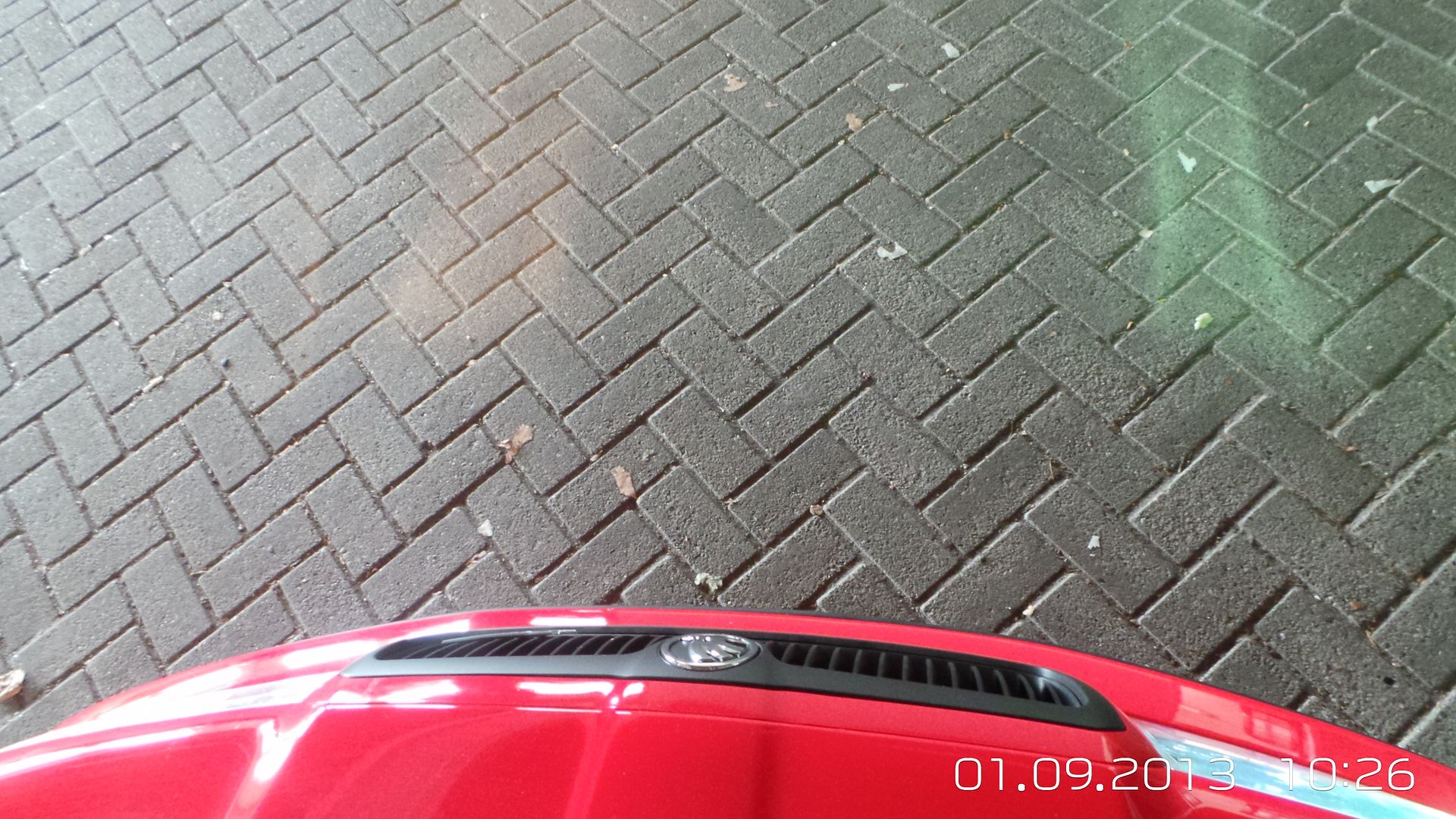 20130901_102629_zps80f137df.jpg