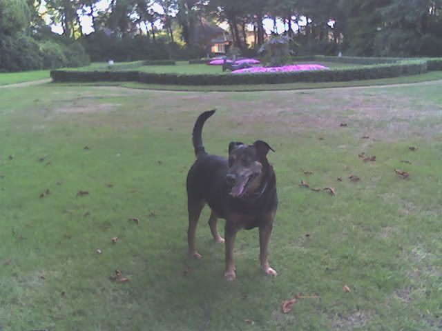 0608.200601.jpg