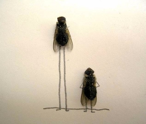 1a0168ed8d0176e7616aaa5d2c134c70--simple-crafts-art-nature.jpg
