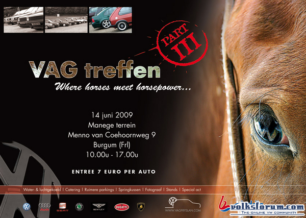 flyerVAG2009web.jpg