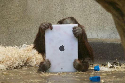 Aap-op-iPad.jpg